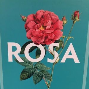 Meet your Posher, Rosa
